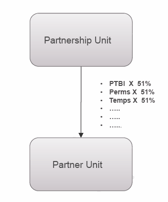 2016 Flow-Through Partnership Unit Example